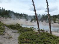 Yellowstone Nationalpark, Mud Volcano &ndash; &copy; Ralf Mehnert (Eberhardt TRAVEL)