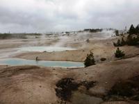 Yellowstone Nationalpark, Norris Geyser Basin &ndash; &copy; Ralf Mehnert (Eberhardt TRAVEL)