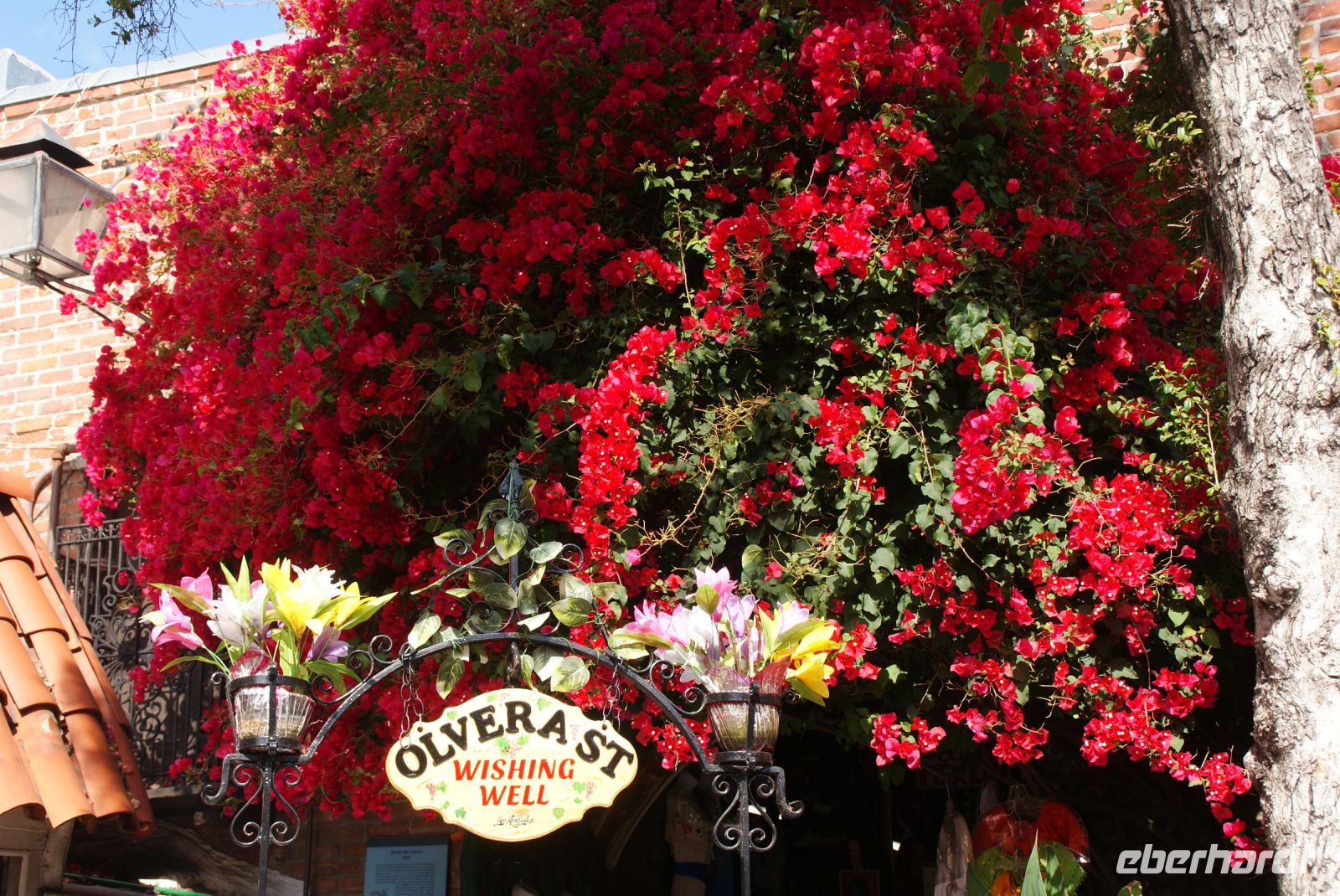 14 Olvera Street &ndash; &copy; Susanne Schirmann (Eberhardt TRAVEL)