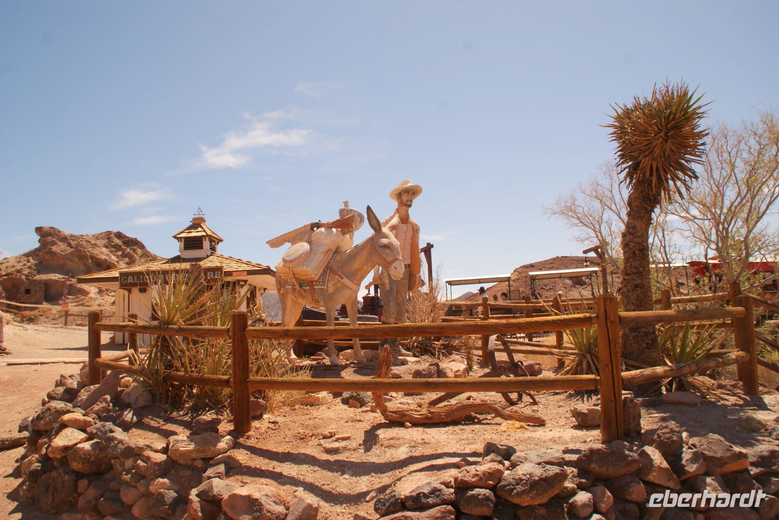 58  Calico &ndash; &copy; Susanne Schirmann (Eberhardt TRAVEL)