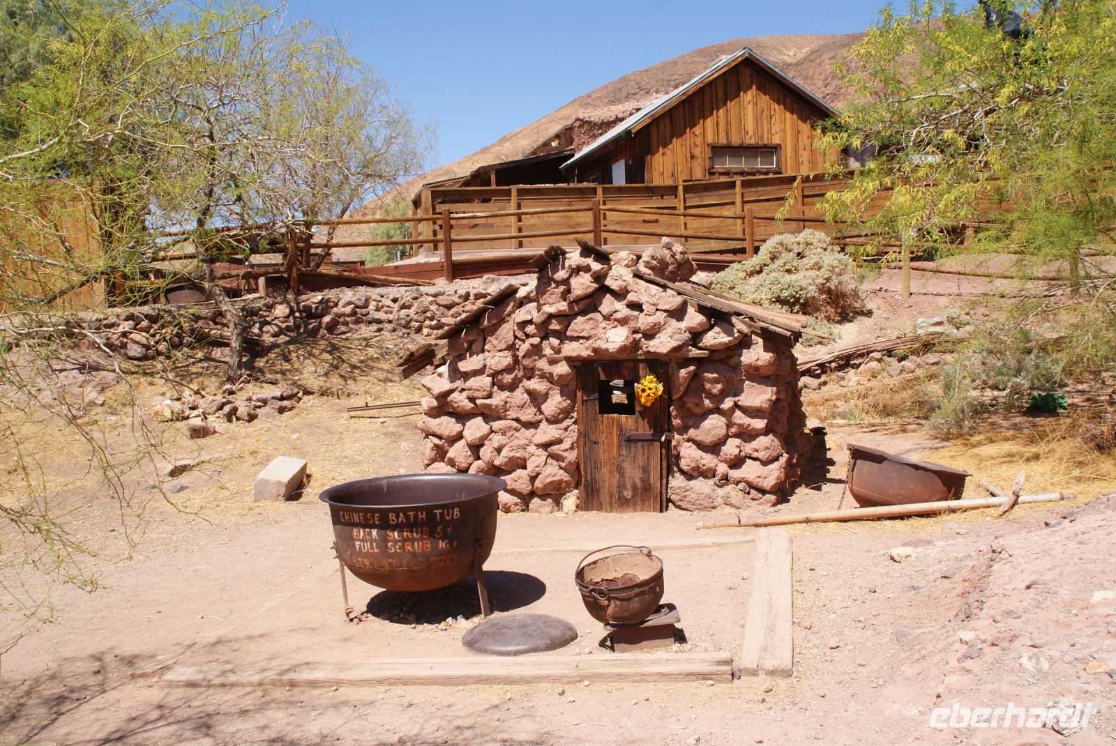 59 Calico &ndash; &copy; Susanne Schirmann (Eberhardt TRAVEL)