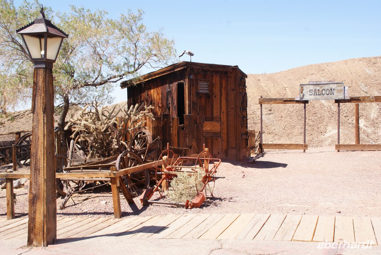 60  Calico &ndash; &copy; Susanne Schirmann (Eberhardt TRAVEL)