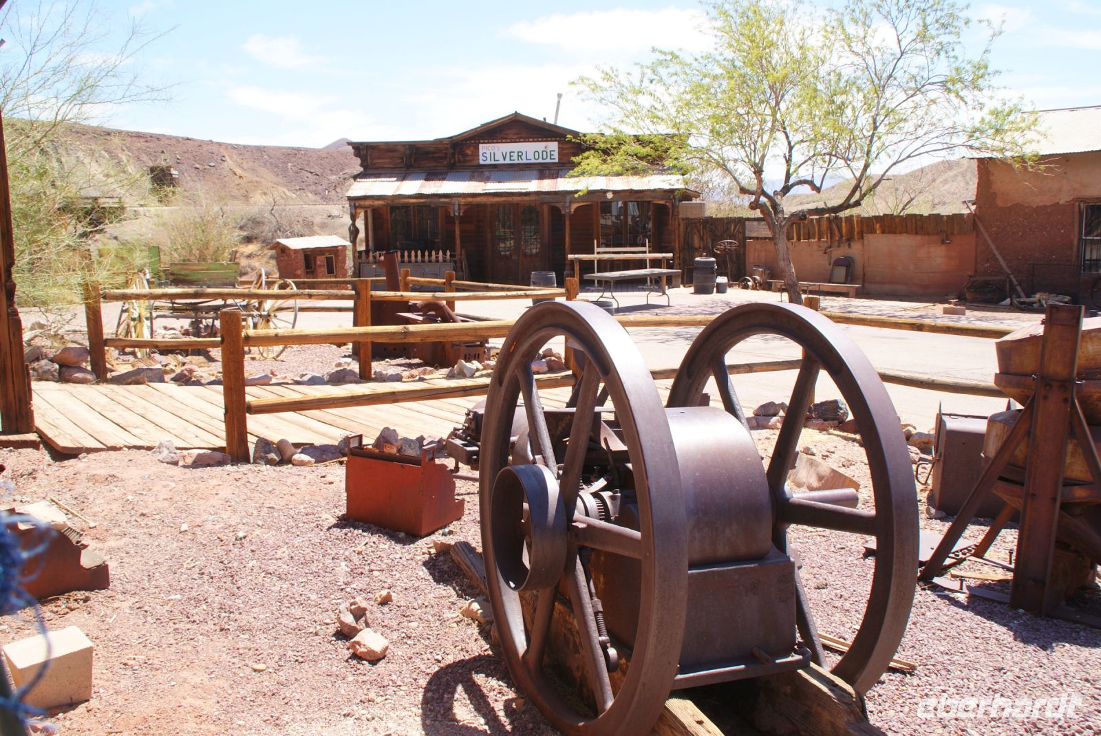 65  Calico &ndash; &copy; Susanne Schirmann (Eberhardt TRAVEL)