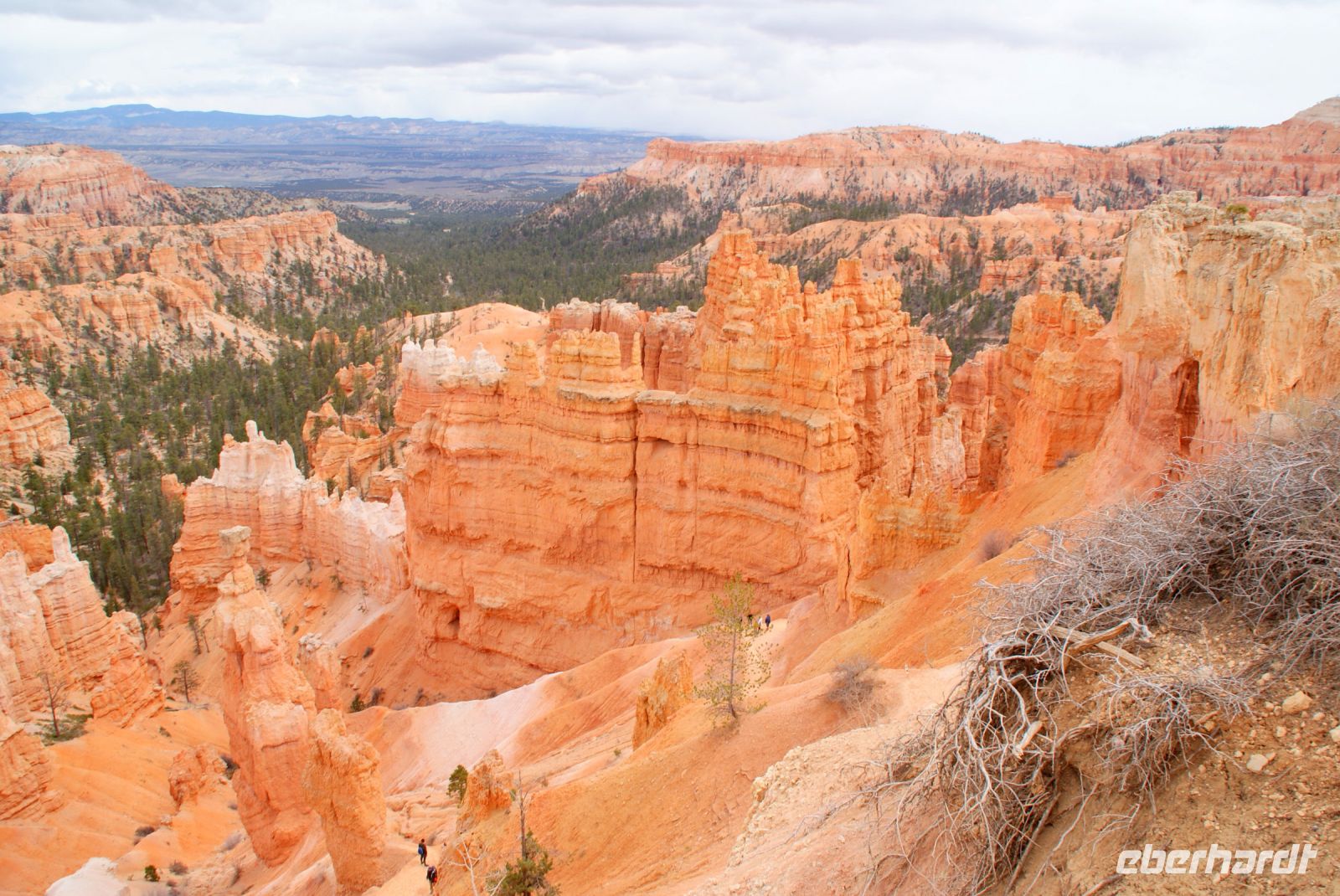 152 Bryce Canyon &ndash; &copy; Susanne Schirmann (Eberhardt TRAVEL)