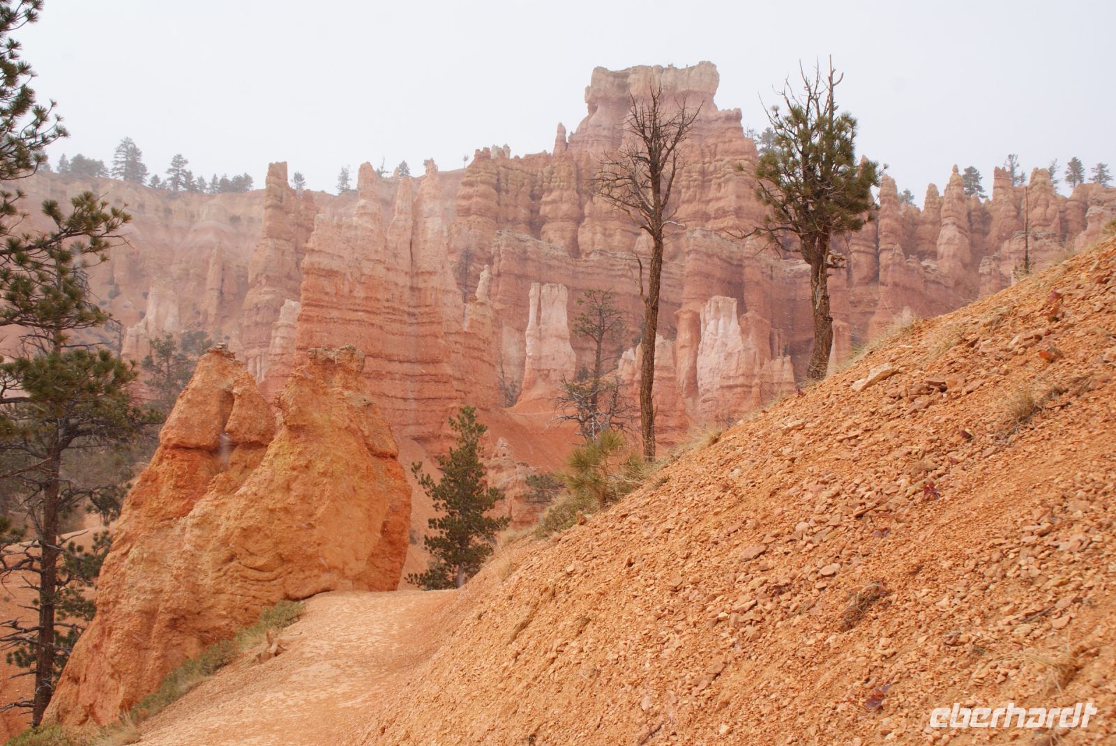 157 Bryce Canyon &ndash; &copy; Susanne Schirmann (Eberhardt TRAVEL)