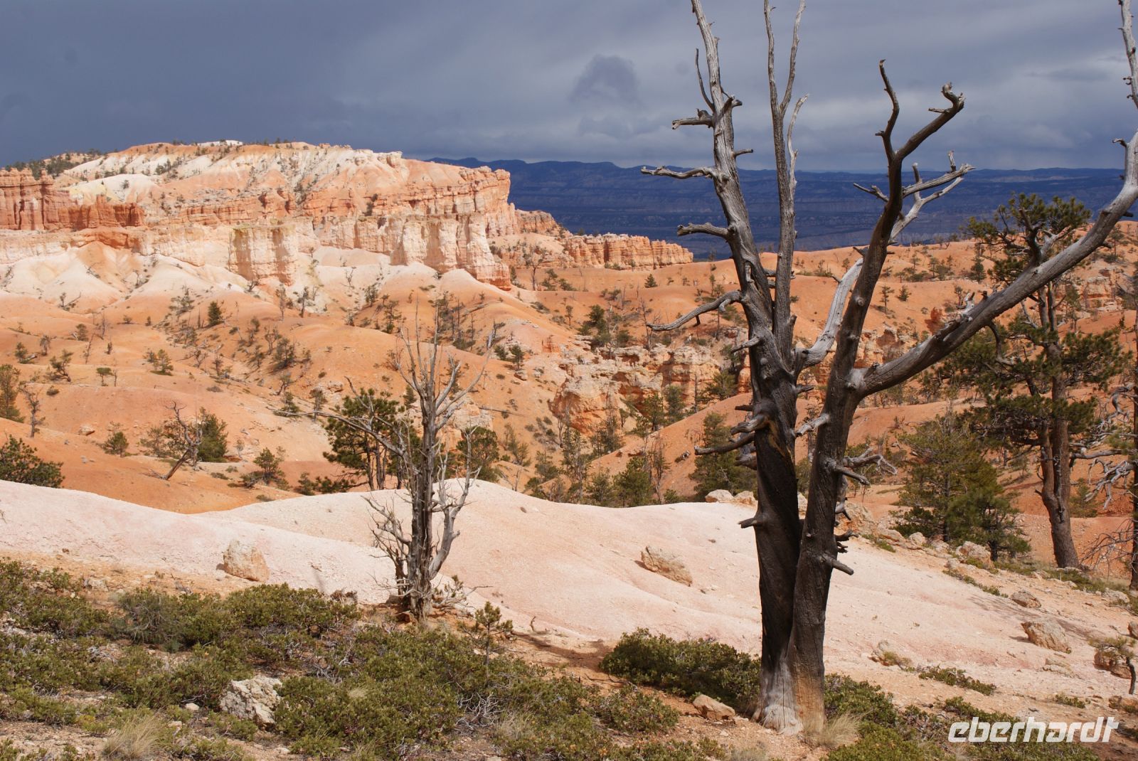 161 Bryce Canyon &ndash; &copy; Susanne Schirmann (Eberhardt TRAVEL)