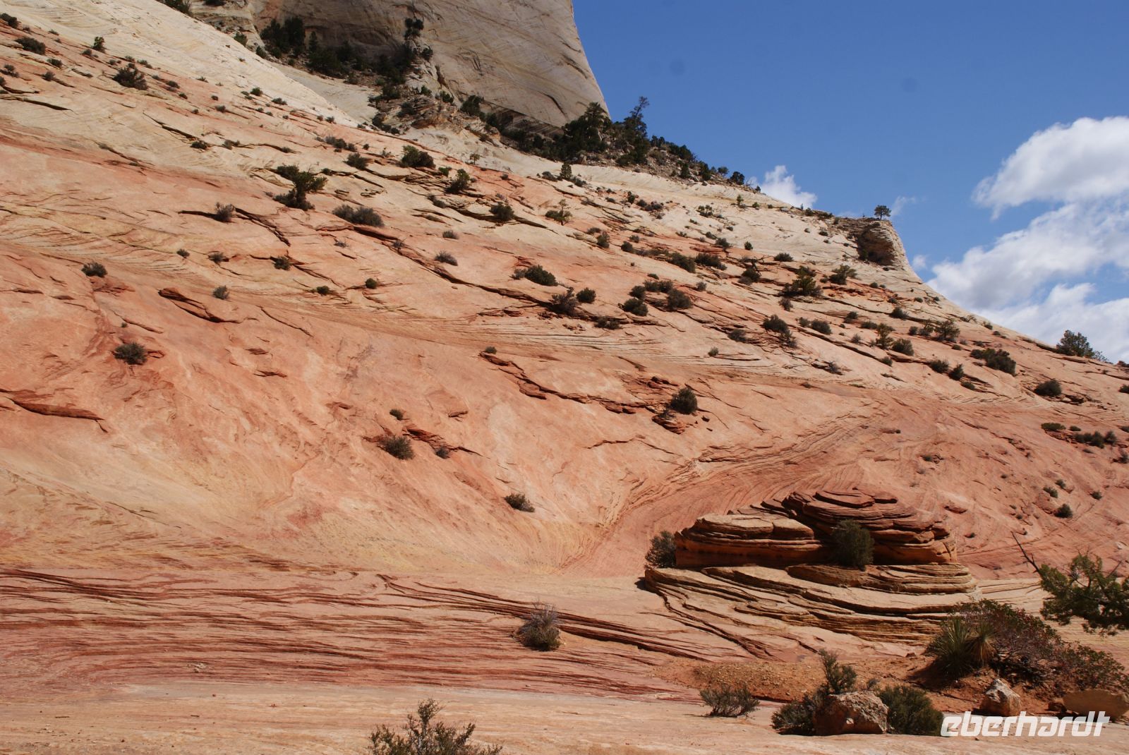172 Zion Nationalpark &ndash; &copy; Susanne Schirmann (Eberhardt TRAVEL)