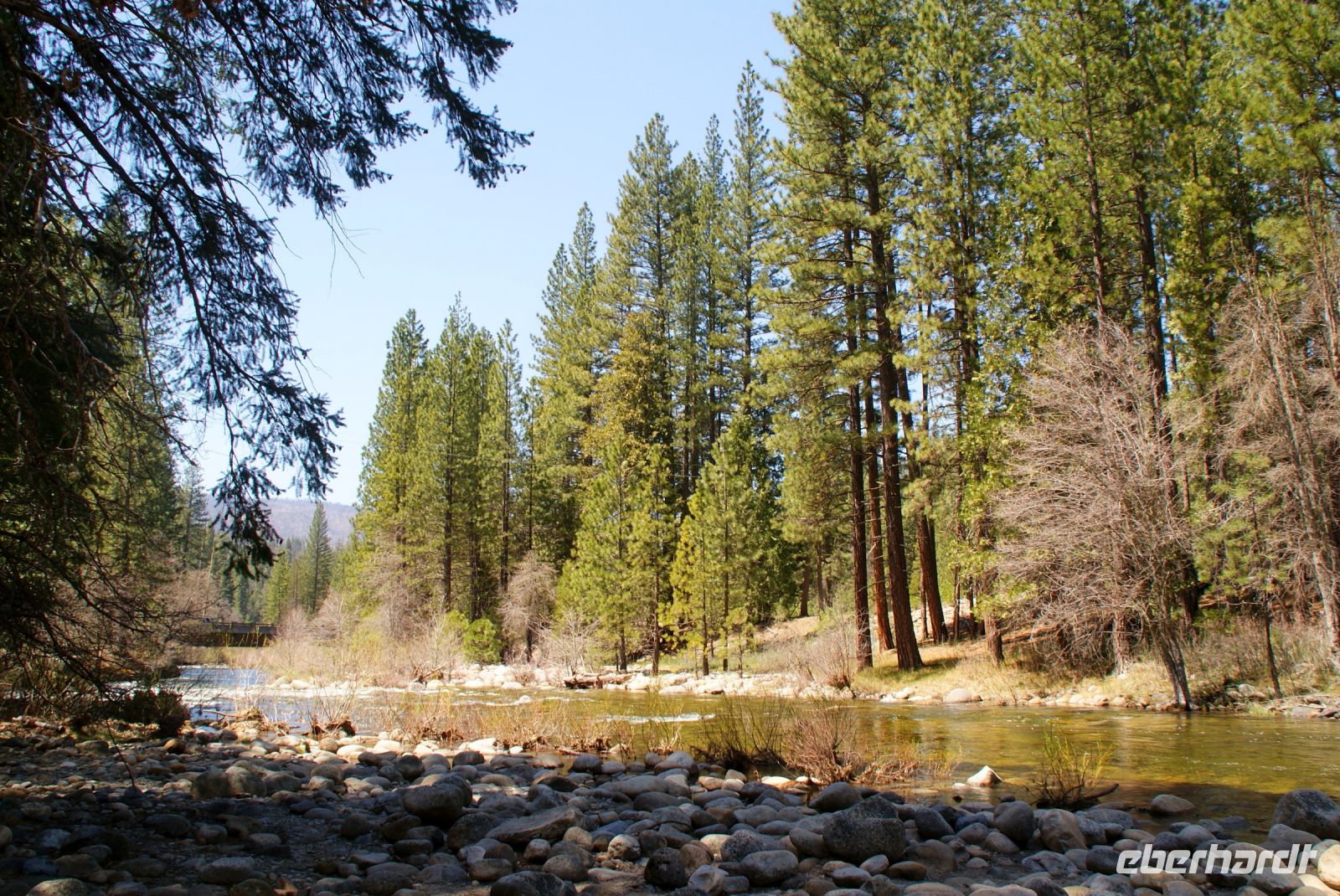 207 Wawona Fluss &ndash; &copy; Susanne Schirmann (Eberhardt TRAVEL)