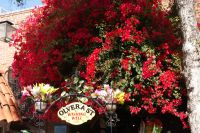 14 Olvera Street &ndash; &copy; Susanne Schirmann (Eberhardt TRAVEL)