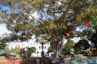 22 Olvera Street &ndash; &copy; Susanne Schirmann (Eberhardt TRAVEL)