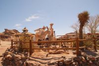58  Calico &ndash; &copy; Susanne Schirmann (Eberhardt TRAVEL)