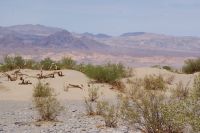 199 Death Valley &ndash; &copy; Susanne Schirmann (Eberhardt TRAVEL)