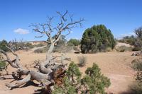 Arches Nationalpark &ndash; &copy; Nicole Hickmann (Eberhardt TRAVEL)