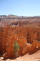 Bryce Canyon &ndash; &copy; Nicole Hickmann (Eberhardt TRAVEL)