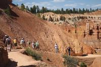 Wanderung im Bryce Canyon &ndash; &copy; Nicole Hickmann (Eberhardt TRAVEL)