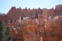 Bryce Canyon &ndash; &copy; Nicole Hickmann (Eberhardt TRAVEL)