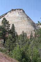 Checkboard Mesa im Zion Nationalpark &ndash; &copy; Nicole Hickmann (Eberhardt TRAVEL)