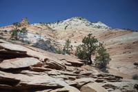 Zion Nationalpark &ndash; &copy; Nicole Hickmann (Eberhardt TRAVEL)