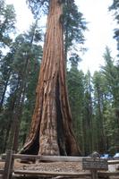 Yosemite Nationalpark &ndash; &copy; Nicole Hickmann (Eberhardt TRAVEL)
