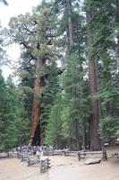 Yosemite Nationalpark &ndash; &copy; Nicole Hickmann (Eberhardt TRAVEL)