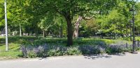 Washington Square Park &ndash; &copy; Kristin Werner (Eberhardt TRAVEL)