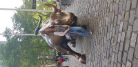 Reisebegleitung Kristin Werner vor dem Bullen &ndash; &copy; Kristin Werner (Eberhardt TRAVEL)