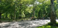 Central Park &ndash; &copy; Kristin Werner (Eberhardt TRAVEL)