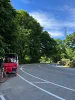 Central Park &ndash; &copy; Madlena Voigt (Eberhardt TRAVEL)