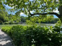 Central Park