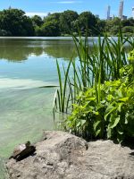 Central Park &ndash; &copy; Madlena Voigt (Eberhardt TRAVEL)