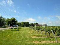 Weingut Lenz &ndash; &copy; Madlena Voigt (Eberhardt TRAVEL)