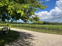Weingut McCall &ndash; &copy; Madlena Voigt (Eberhardt TRAVEL)