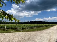 Weingut McCall &ndash; &copy; Madlena Voigt (Eberhardt TRAVEL)