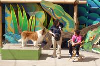 Animal Show &ndash; &copy; Vicky Kern (Eberhardt TRAVEL)
