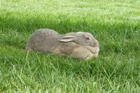 Unser Osterhase :-) &ndash; &copy; Vicky Kern (Eberhardt TRAVEL)