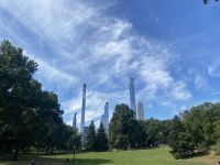Central Park 