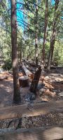 Yosemite Nationalpark &ndash; &copy; Nicole Madeleine Ogola (Eberhardt TRAVEL)