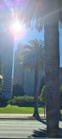 San Francisco &ndash; &copy; Nicole Madeleine Ogola (Eberhardt TRAVEL)