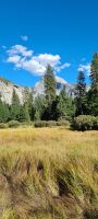 Yosemite Nationalpark &ndash; &copy; Nicole Madeleine Ogola (Eberhardt TRAVEL)