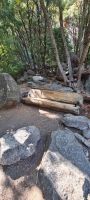 Yosemite Nationalpark &ndash; &copy; Nicole Madeleine Ogola (Eberhardt TRAVEL)