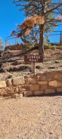 Bryce Canyon Nationalpark &ndash; &copy; Nicole Madeleine Ogola (Eberhardt TRAVEL)
