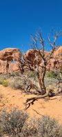 Arches Nationalpark &ndash; &copy; Nicole Madeleine Ogola (Eberhardt TRAVEL)
