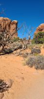 Arches Nationalpark &ndash; &copy; Nicole Madeleine Ogola (Eberhardt TRAVEL)