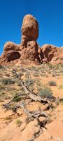 Arches Nationalpark &ndash; &copy; Nicole Madeleine Ogola (Eberhardt TRAVEL)