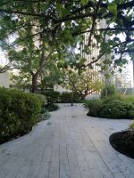 Downtown  - Los Angeles