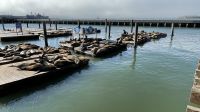 Pier 39 -  San Francisco &ndash; &copy; Jacob Spangenberg (Eberhardt TRAVEL)