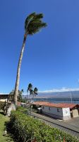 Inselrunfahrt auf Maui - Maui Ocean Center &ndash; &copy; Jacob Spangenberg (Eberhardt TRAVEL)