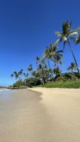 Inselrunfahrt auf Maui - Baden am Kanaha Beach Park  &ndash; &copy; Jacob Spangenberg (Eberhardt TRAVEL)