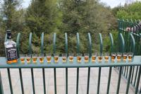 wir machen unsere eigene Jack Daniels Verkostung! &ndash; &copy; Elisa Müller (Eberhardt TRAVEL)