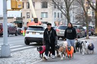 2. Tag - Stadtrundfahrt in New York - Dogsitter &ndash; &copy; Franziska Barthel (Eberhardt TRAVEL)